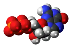 Space-filling model of the deoxyguanosine diphosphate anion