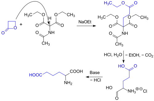 synthesis of rac-Glu