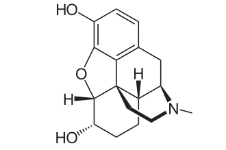 Skeletal formula of dihydromorphine