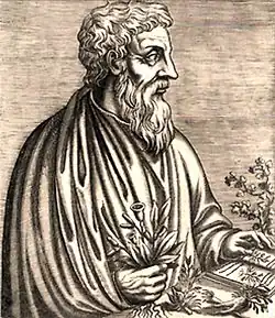 an ancient Greek black-and-white woodcut print of a middle-aged bearded man. His left hand rests on a book, and in his right hand he holds a plant.