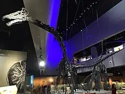 Twinky (Prince and Appolonia to right)