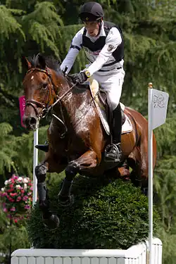Dirk Schrade riding King Artus in the team eventing