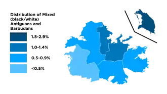 Distribution of mixed black and white Antiguans and Barbudans, 2011