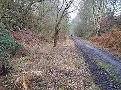 Shepshed Cutting
