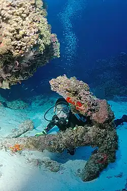 Diver and old anchor