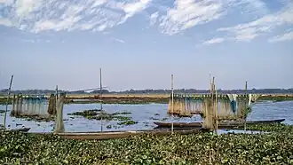 Fishing nets and boats on the Dora Beel