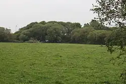 Motte with two baileys immediately east of Bristol Road, Down End