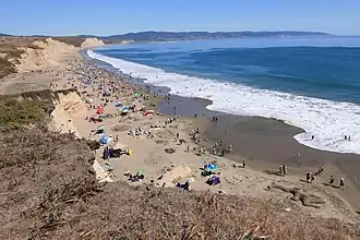 Drakes Beach during the 2015 Annual Sand Sculpture Contest.