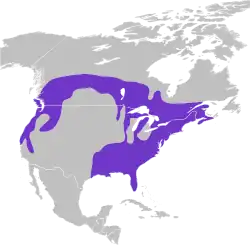 The range includes the United States, east of the Mississippi river, most of lower of Canada, extending up into the Northern Rocky Mountains, and down the Pacific Coast into central California