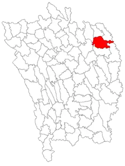 Location in Vaslui County