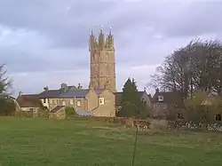 Yellow stone church tower above other buildings of the same stone. In the foreground is a grassy field with cows.