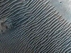 Dune Ripples in Her Desher Vallis, as seen by HiRISE.