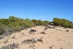 Looks like this Site of Community Interest has an image. Don't worry, you can take one of your own, and upload it too!