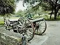 Cannon at Dungarpur Mews