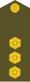 Leitnant (Estonian Land Forces)[30]