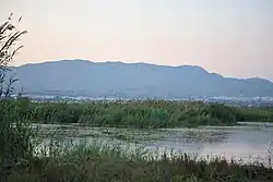 Looks like this Site of Community Interest has an image. Don't worry, you can take one of your own, and upload it too!