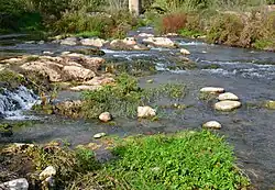 Looks like this Site of Community Interest has an image. Don't worry, you can take one of your own, and upload it too!