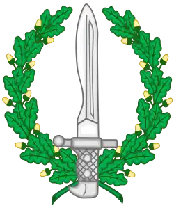 Emblem of Special operations forces