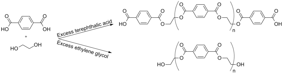 PET condensation polymerization from terephthalic and ethylene glycol, showing what occurs when each monomer is in excess