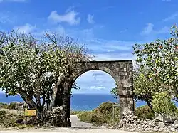 English Quarter Plantation