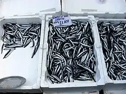 small silver fish in open polystyrene boxes labelled "Karadeniz hamsi kilo 7 lira"