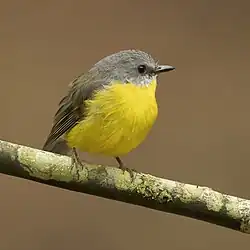 In Brunkerville, New South Wales