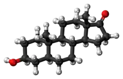 Ball-and-stick model of the epiandrosterone molecule