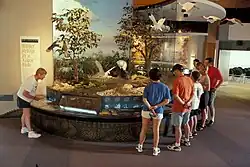 Ernest F. Coe visitor's center at Everglades National Park