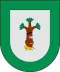 Coat of arms of Cuautempan