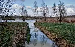 Looks like this Site of Community Interest has an image. Don't worry, you can take one of your own, and upload it too!