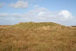 Wood Barrow round barrow