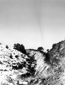 Fault scarp near Fairview Peak, Nev., resulting from the earthquake of December 16, 1954. (Photograph by Hugo Benioff.)[12]