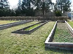 Garden Seedling Cold Frames(1935)