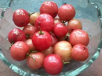 Close up of F. jangomas fruit