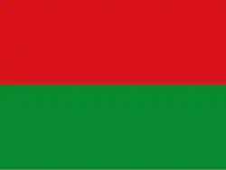 Flag of the Department of Arauca