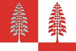 Flag of Krasnoborsky District