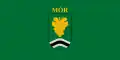 Flag of Mór