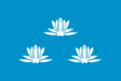 Flag of Novokuybyshevsk