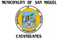 Flag of San Miguel