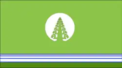 Flag of Tattinsky District