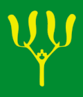 Flag of Våle Municipality