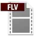 FLV file Icon from Adobe Systems