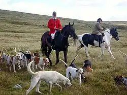 Two men on horseback ride alongside a pack of hounds in a grassy field.