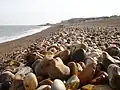 Kingsdown beach, where the remains of the crew were washed up. By Penny Mayes.