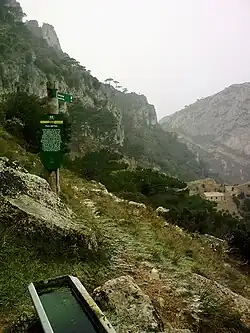 Font del Teix spring in Serra de Cardó