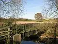 Footbridge_over_the_River_Weaver_-_geograph.org.uk_-_2697081