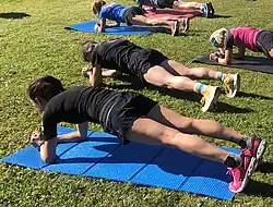 Forearm Plank, Phalakasana variant