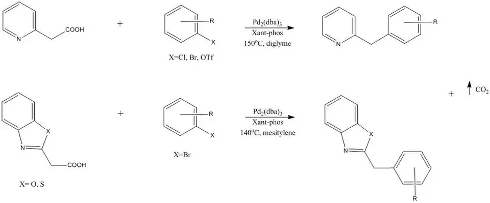 Formation of sp3C-heteroaromatics by Shang et al. 2010