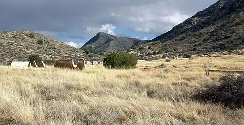 Fort Bowie site today.