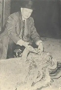 #169 (23/10/1964) Frederick Aldrich with the giant squid found floating at the surface off Conche, White Bay, Newfoundland, in October 1964 (Aldrich & Brown, 1967:4, fig.)